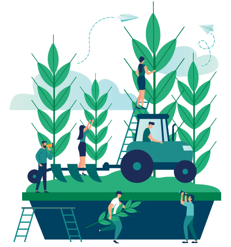 Servicios Ferro Agro 4